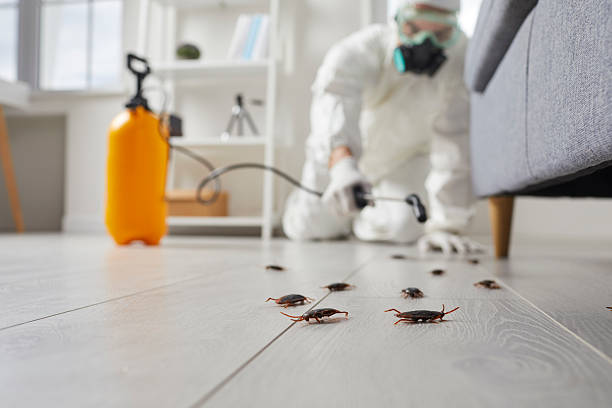 Commercial Kitchen Cockroach Control in North Massapequa